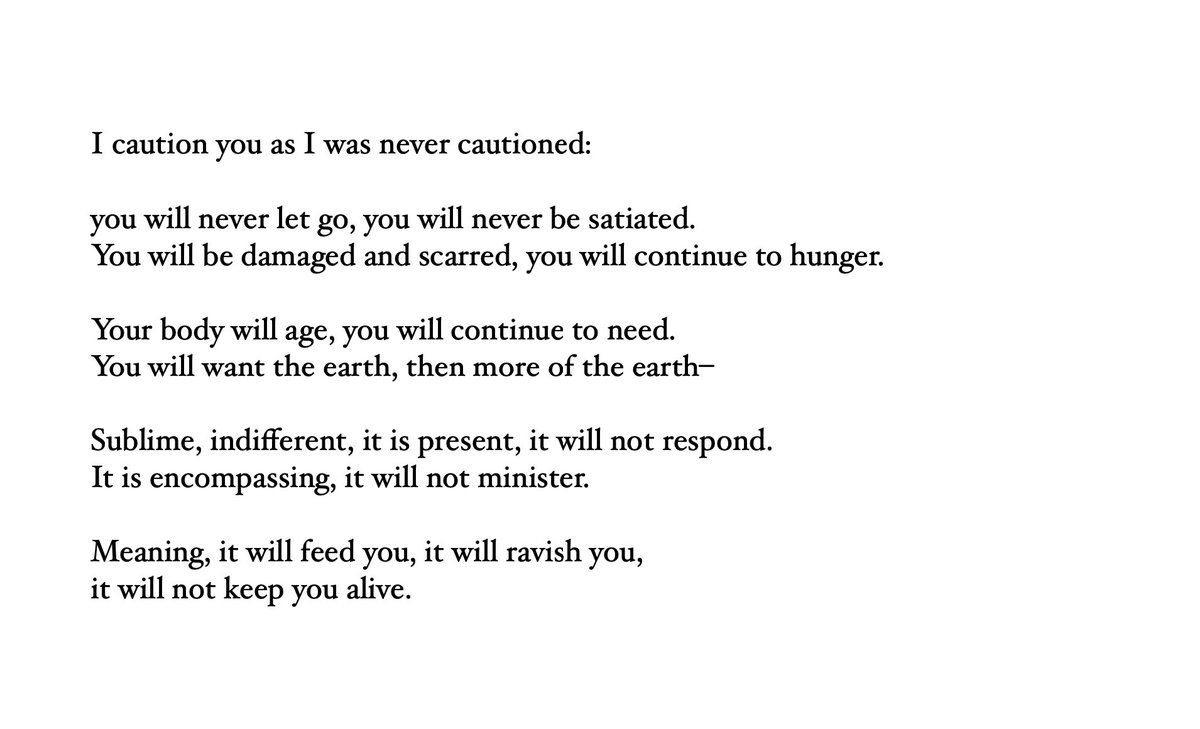 Alina Stefanescu tweet media