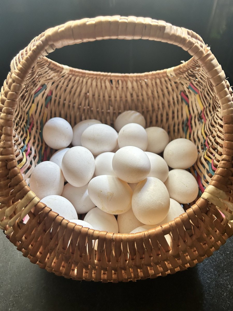 A few years ago, I used to wonder what I'd do with so many eggs. Now, it feels like there are never enough; they seem to vanish within a few days! 😂😂