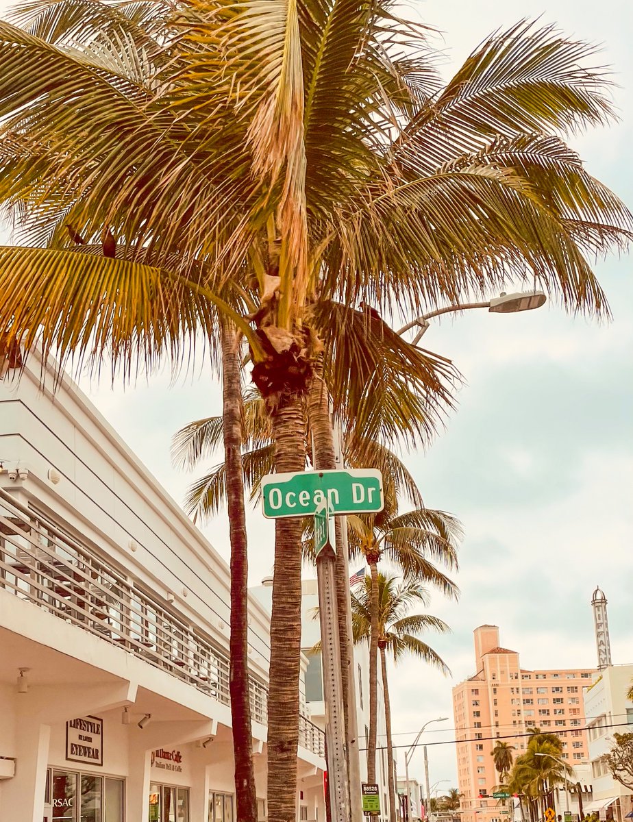sz_ripa's tweet photo. #Miami to #Bahamas 🏝️ - Part 2 🙌

#OceanDrive #Miami #SouthBeach #RumCakeFactory https://t.co/eVMpDfpq0L