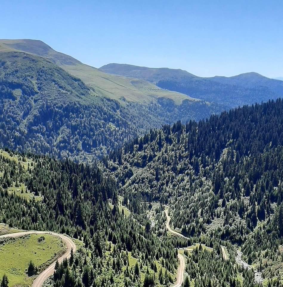 Gönlü sevgi dolu dostlara. Dostluğu dost gibi bilenlere. Güzelliği sevgi ile yoğuran insanlara. Gönül dolusu #Günaydınlar.
Yayla yolları taşlı…