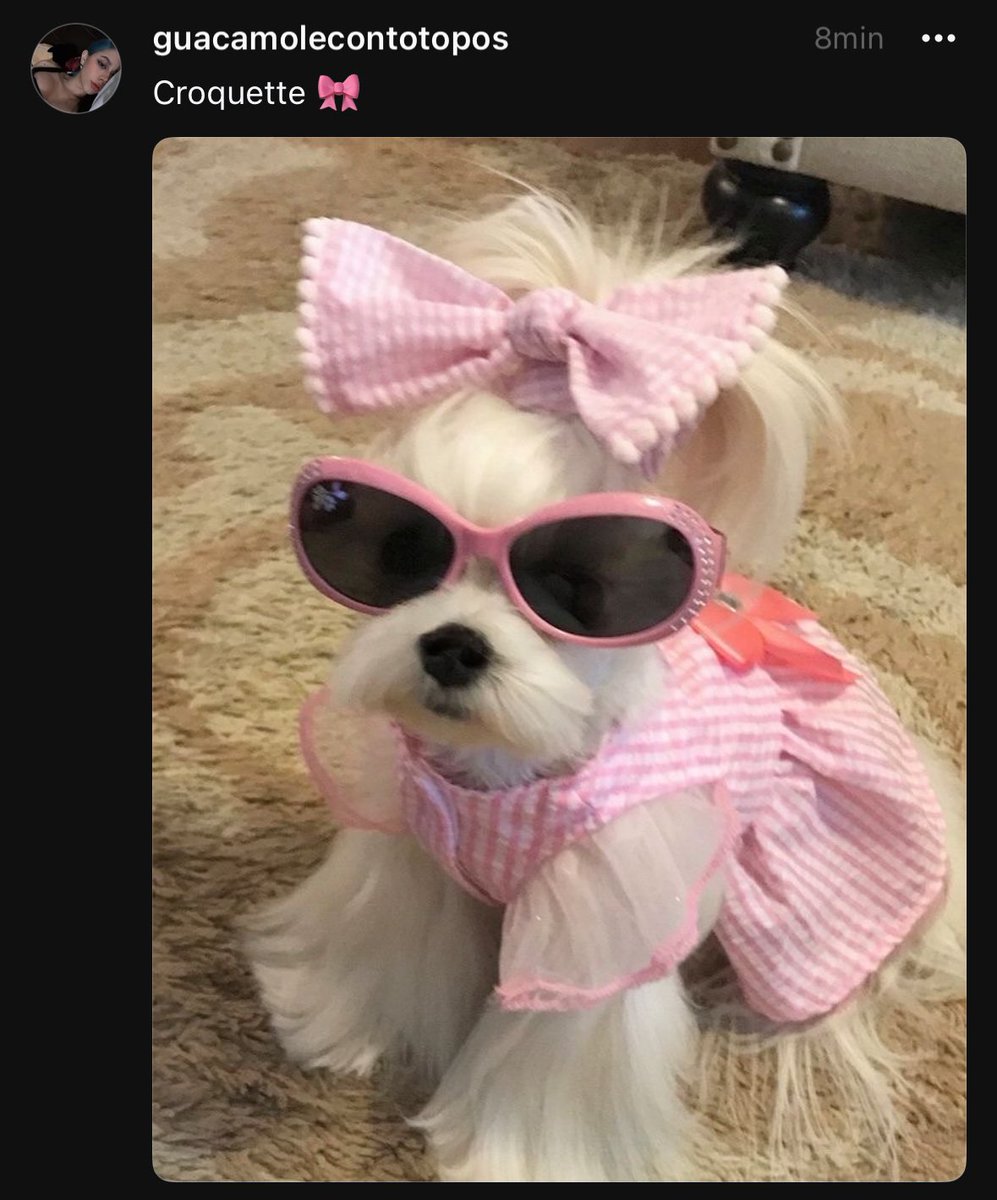 guaca 🫧 (@guacamoleyya) on Twitter photo 