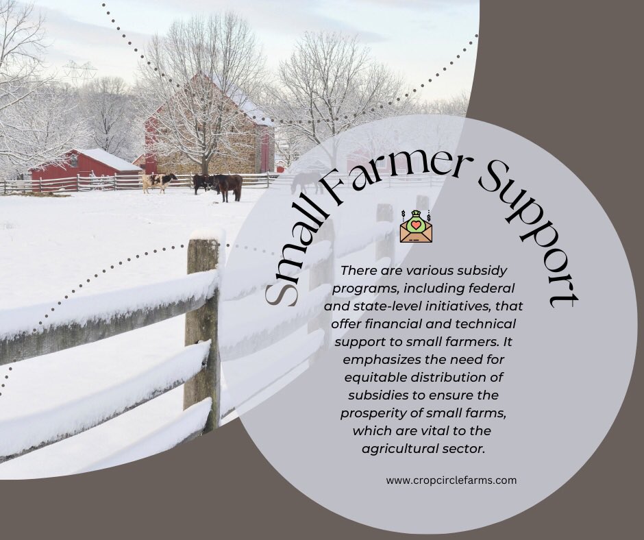 🚜 Empowering Small Farmers: Discover the importance of farm subsidies in supporting small-scale agriculture in the U.S. Our new blog details key subsidy programs and the challenges faced by small farmers. Read more at cropcirclefarms.com/farm-subsidies… #FarmSubsidies #AgriculturalSupport