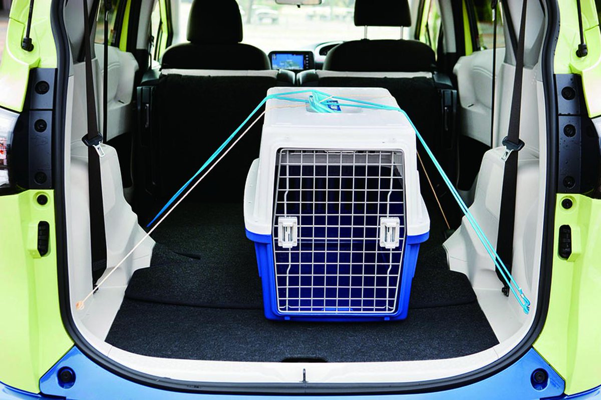 Sotobira_com's tweet photo. ペットと一緒の車中泊避難生活
注意点と準備しておきたいこと。

https://t.co/YuvYr4FYZi

#車中泊避難　#ペット　#避難生活 https://t.co/vKRUZOkJxu