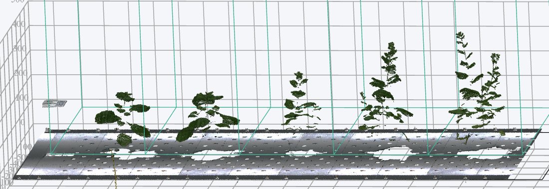 AustPlantPhenom's tweet photo. Elevate your research with 3D scanning! APPF's @scienceANU PlantEye F600, a 3D multispec scanner, is available for reservations. It can non-invasively analyse over 20 parameters such as plant height, 3D-leaf area &amp; digital biomass. Contact us 👉 appf@anu.edu.au
@frederike_stock https://t.co/uFXD6XNTE6