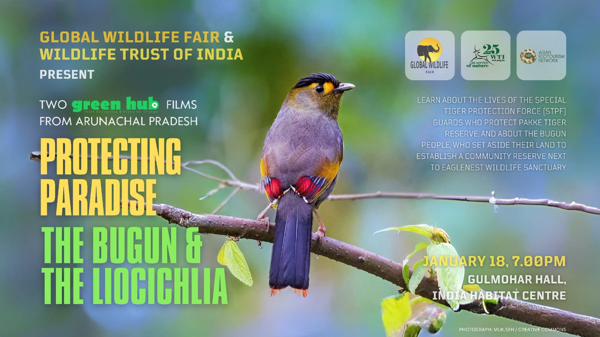 📽️ Join #WTI & Global Wildlife Fair for the screening of two films showcasing conservation initiatives in Arunachal Pradesh by conservation organisation, Green Hub at India Habitat Centre! Date: 18 January 2024 Time: 7:00 pm Venue: Gulmohar Hall, India Habitat Centre