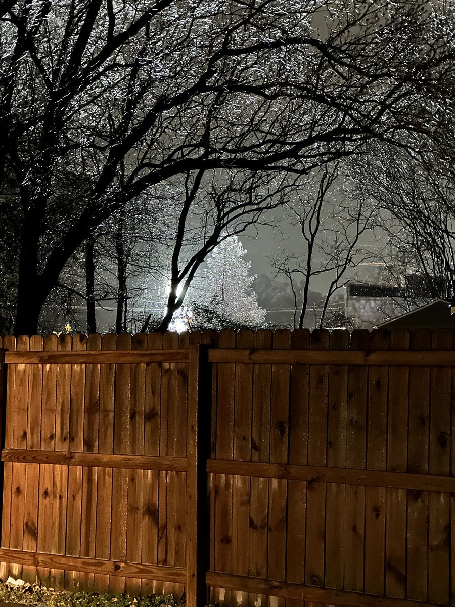 Spazzberry103's tweet photo. @DrJoshWX A frozen tree in my neighbor’s yard. Had to share this rare cold event for us here.  (No filter was even used 😊) -Angela Taylor https://t.co/m9t2Oc5y0l