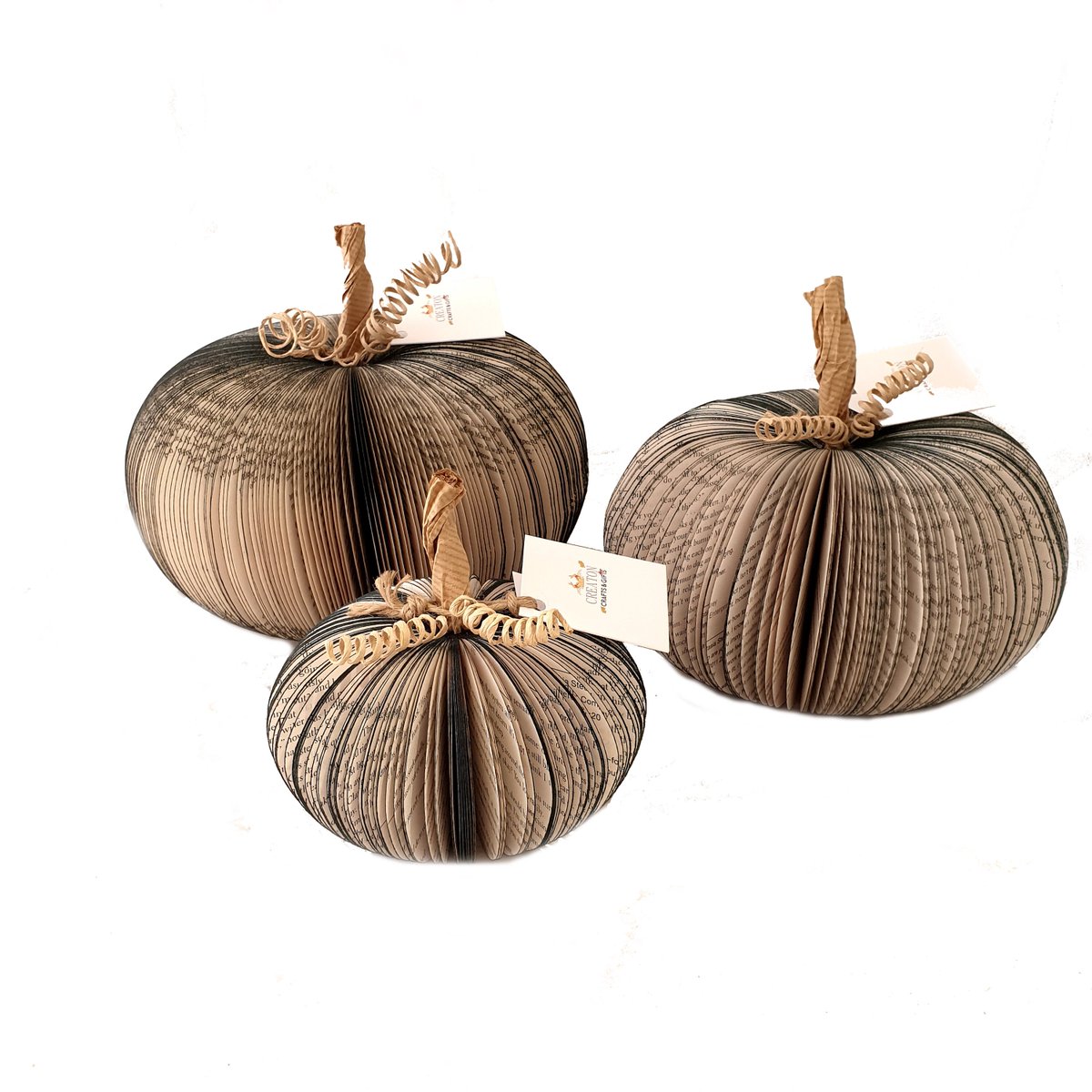 Paperappleco's tweet photo. Paper Pumpkins Black Gothic Halloween Decoration Set of 3 Small Medium and Large Book Art https://t.co/xTfy1CAXtg #WomaninBiz #EpiconEtsy #CreatonCrafts #MHHSBD #Handmade #PaperPumpkin https://t.co/S2Qf82eEWd