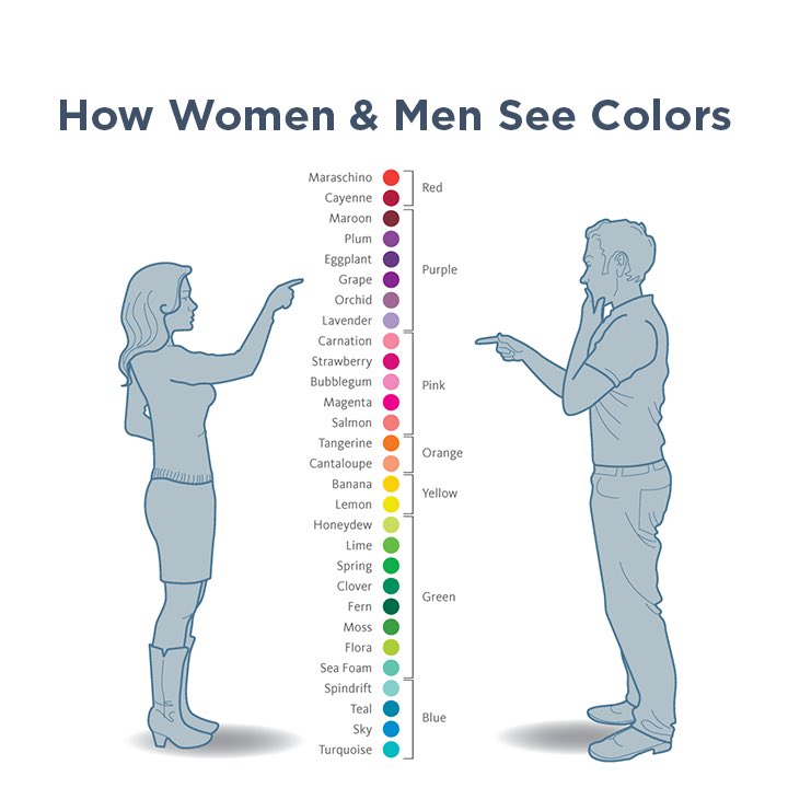 ProletariatSass's tweet photo. @RonPlacone @vanguard_pod Easier to parse when you are familiar with the original meme about color and have seen it’s use broaden to show how various groups make different distinctions. (The leftist one poorly uses the original format and makes it harder to read) https://t.co/mqLSYgdmSc