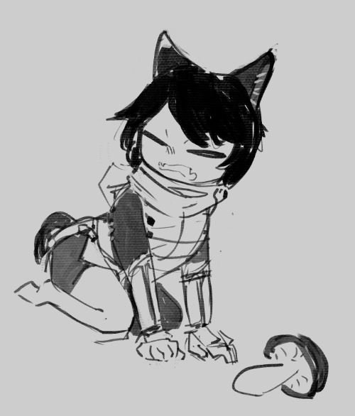 LashSleeper's tweet photo. cat not like shroom https://t.co/tlqQETw1Bi