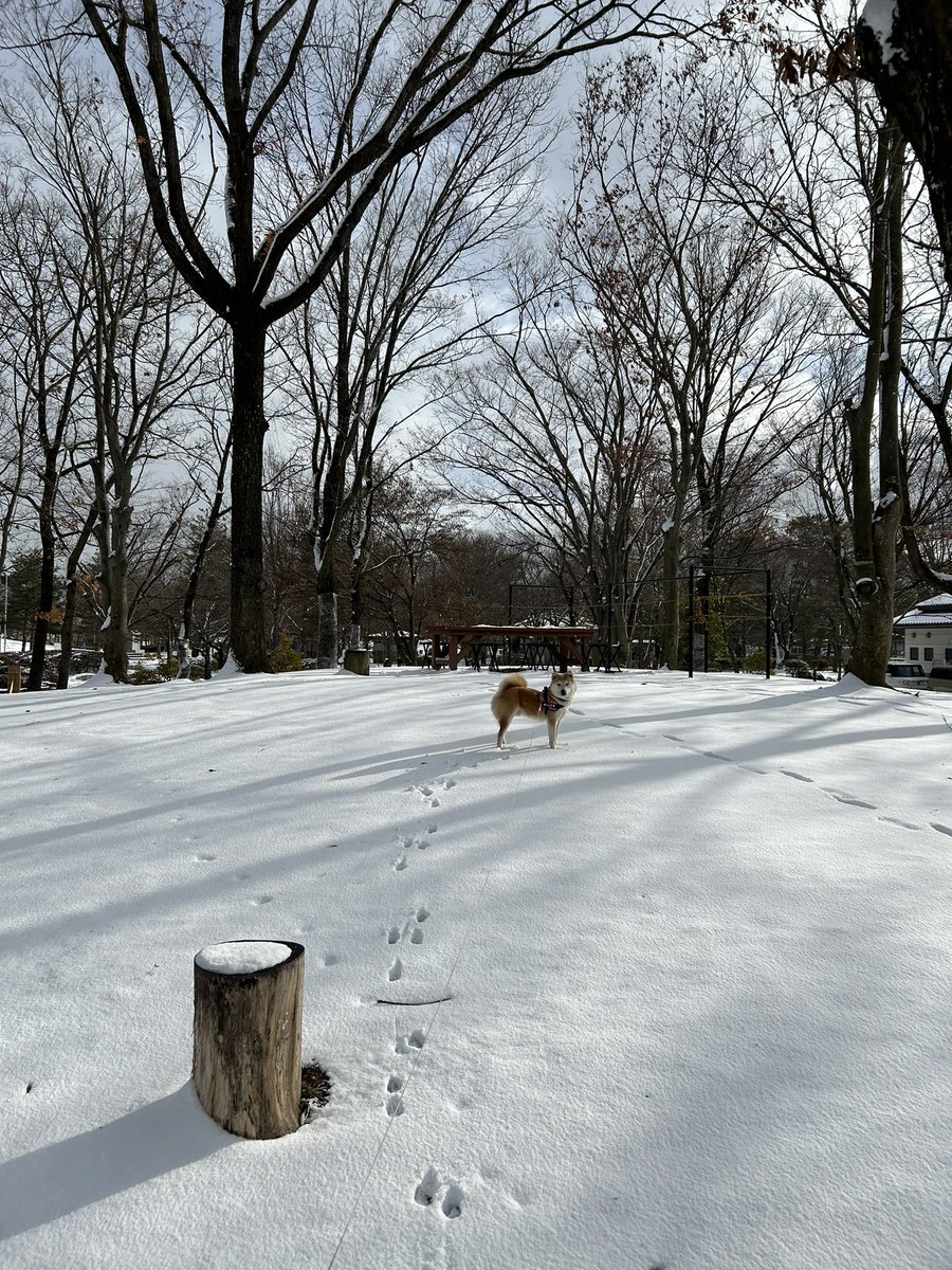 写真はいいから早く来いということですね