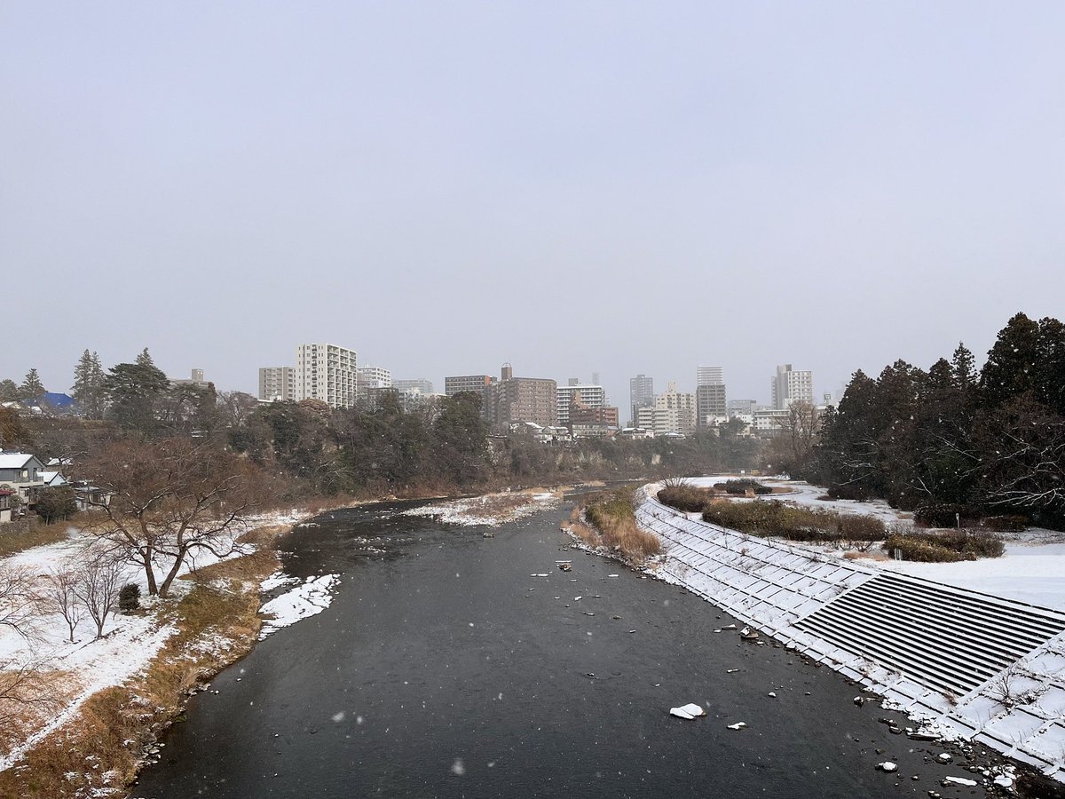 雪・広瀬川
澱橋より