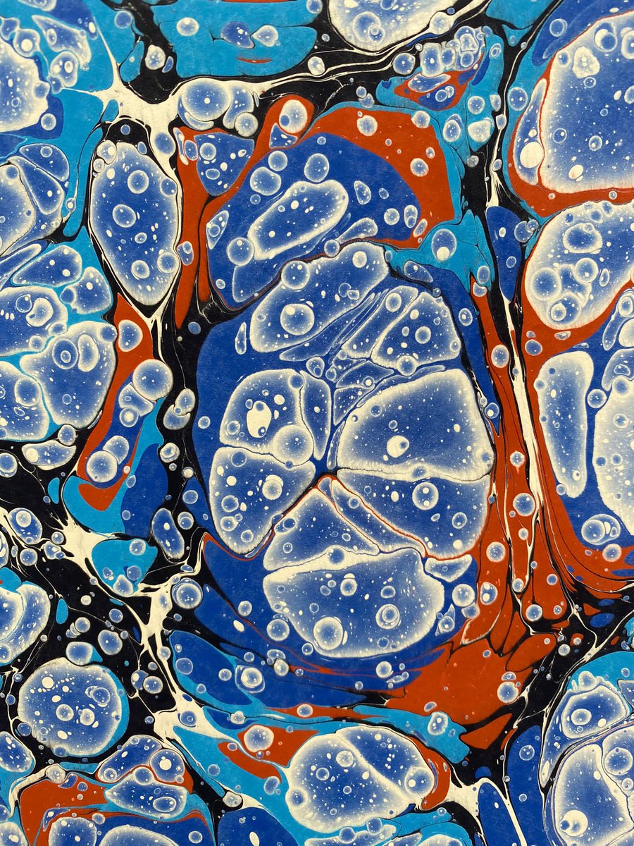 Ertugrul Incel tweet media