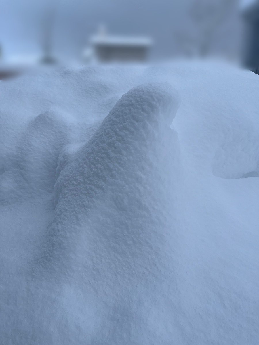 2日にしてこれがこう。
私の家の守り神いずこへ。
雪凄すぎる。