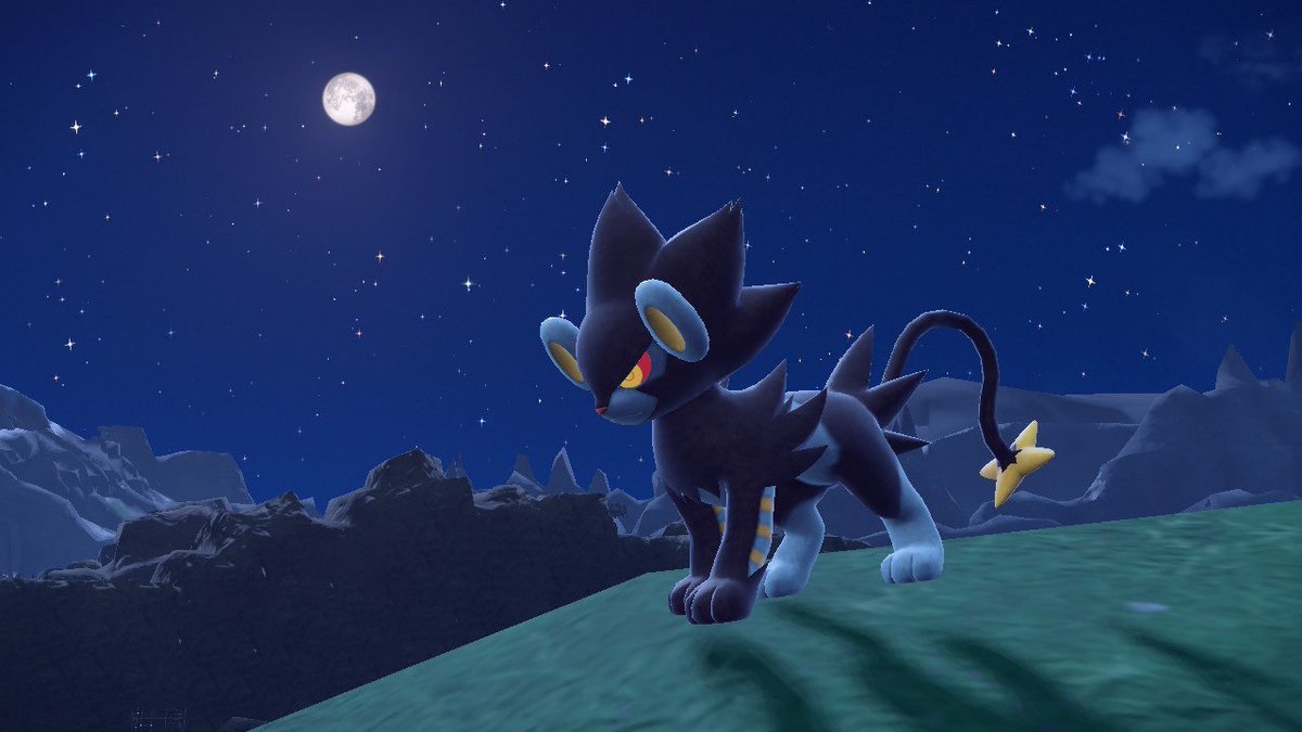 Menti🎓 tweet media