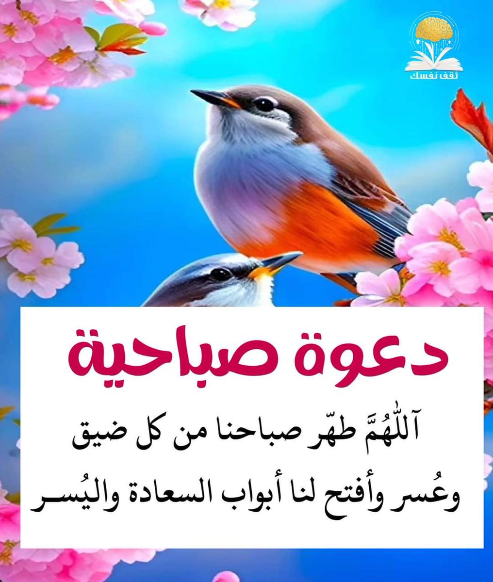ABDALLAH1988AL's tweet photo. https://t.co/gW9nOfoLH1