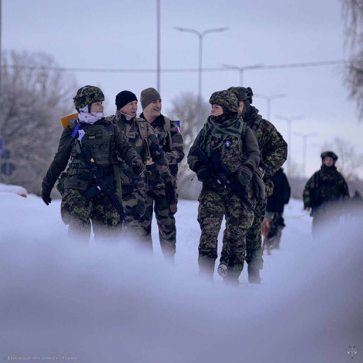 French Forces in Estonia tweet media