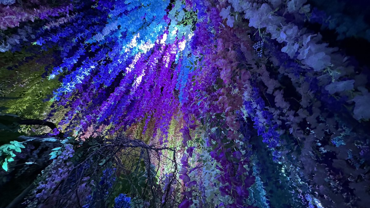 ff14dora's tweet photo. 仕事の合間に...やっと来れた #蜷川実花展 🌸
美しすぎてこの世のものとは思えない不思議な世界観でした🎶
来月下旬までなのでご興味ある方はぜひ！
https://t.co/KDZqI4q3zE https://t.co/oUTFcQIyqx