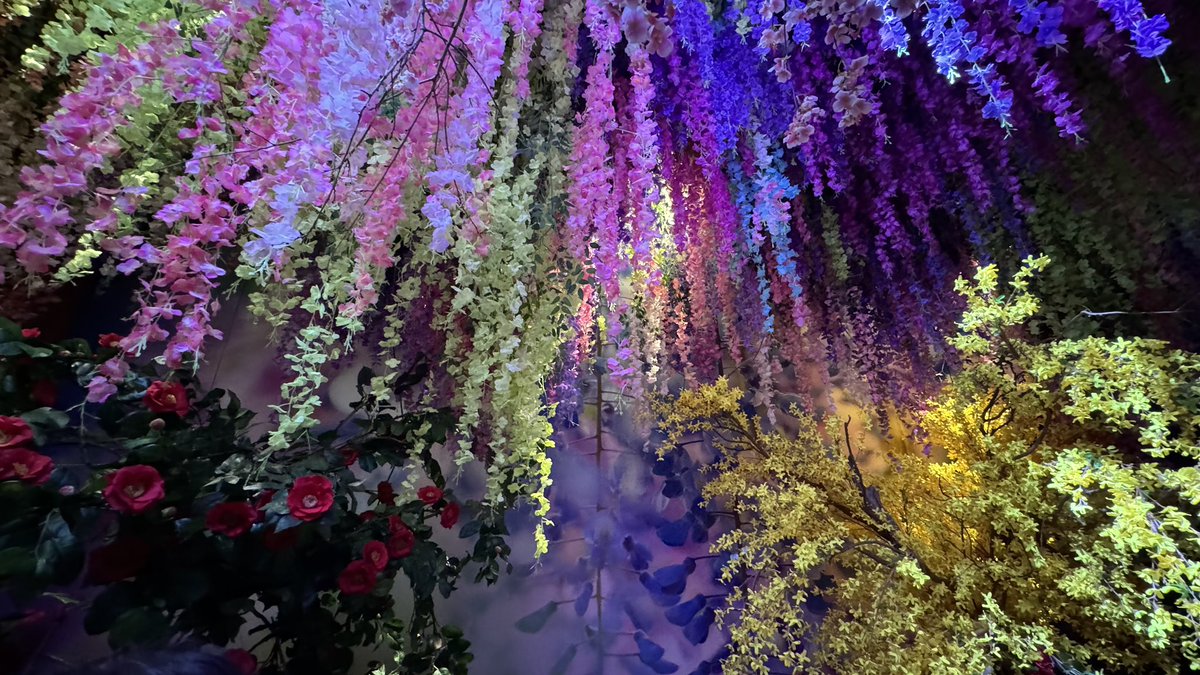 ff14dora's tweet photo. 仕事の合間に...やっと来れた #蜷川実花展 🌸
美しすぎてこの世のものとは思えない不思議な世界観でした🎶
来月下旬までなのでご興味ある方はぜひ！
https://t.co/KDZqI4q3zE https://t.co/oUTFcQIyqx