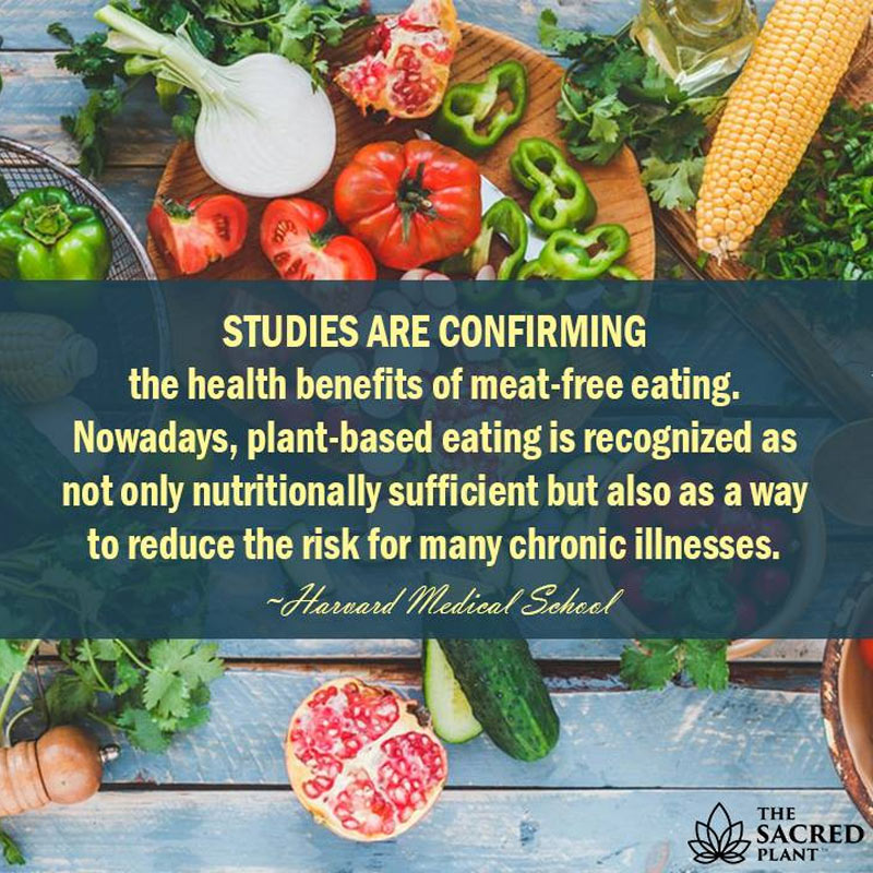 OrganicLiveFood's tweet photo. Avoid #overcooking your foods; exposing #meat to high temps during #grilling or #barbecuing could significantly increase your risk of #cancer: https://t.co/L0STSJ5N0a