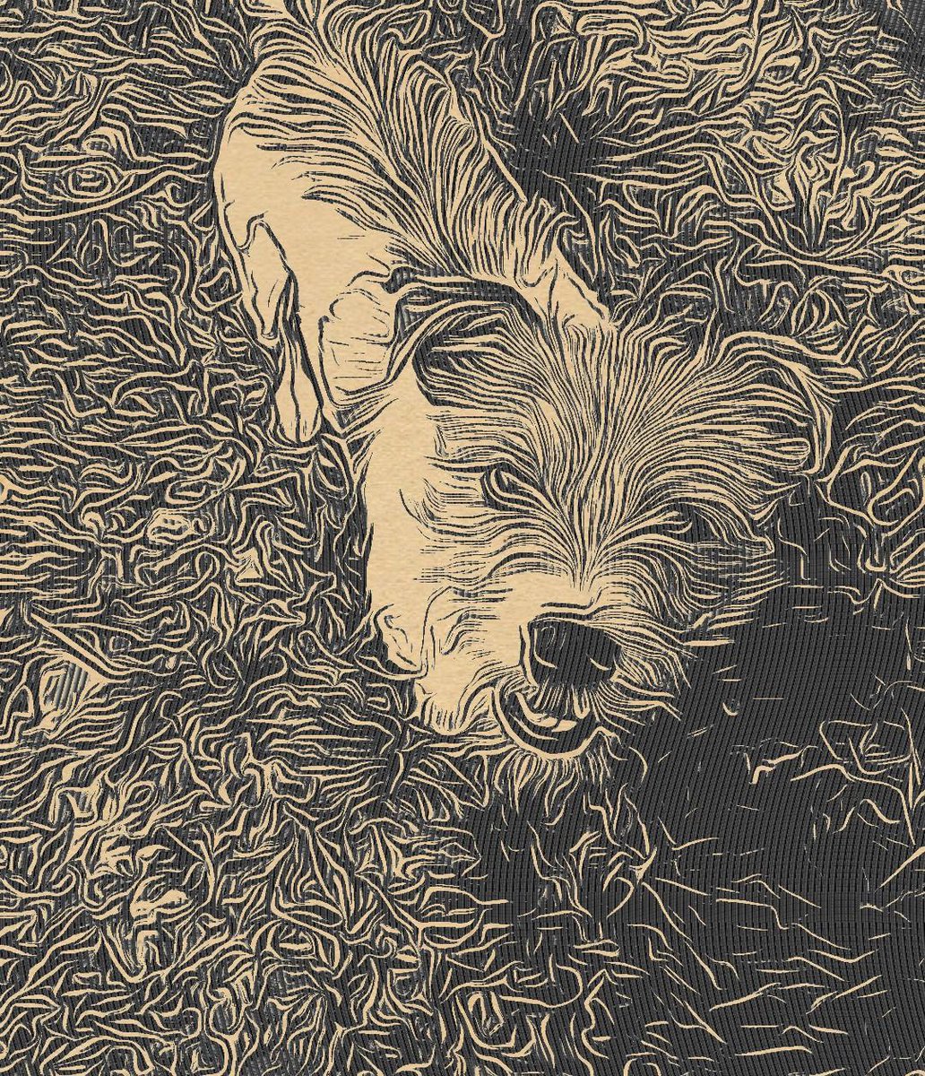 adolfo rodriguez tweet media