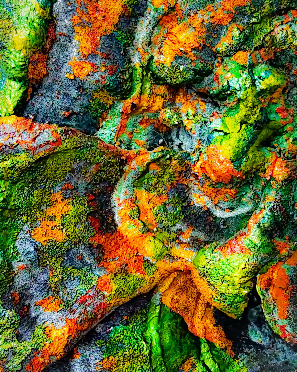 Vitaliy Ging tweet media