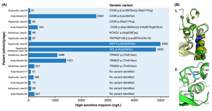 Dror Mevorach tweet media