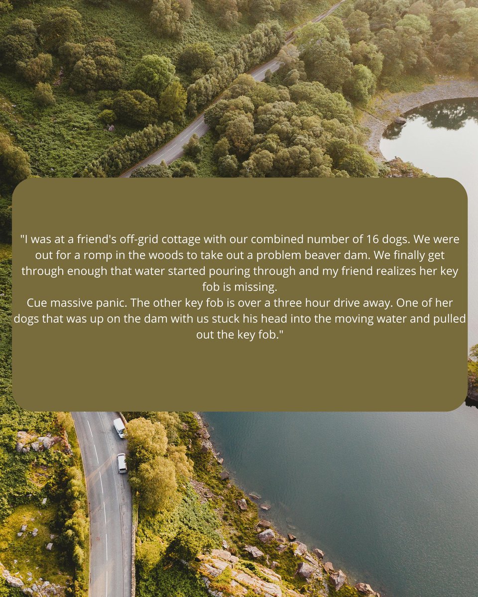 "Stories from Reddit" tweet media