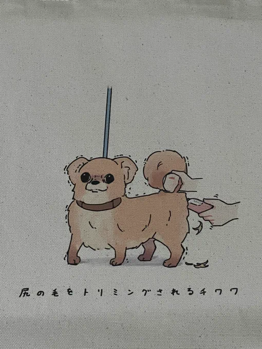 kawaiiね