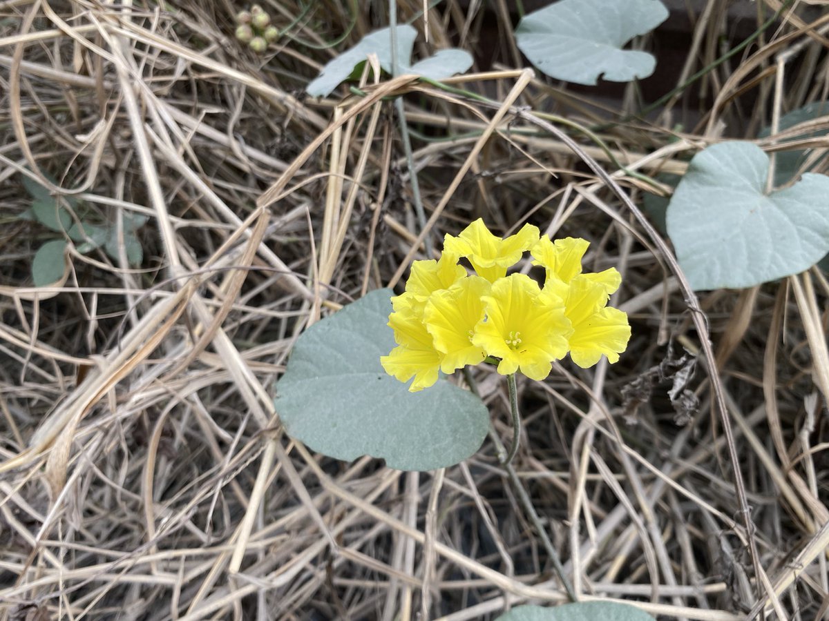 Cuối năm hàng về full xưởng 
Mọi người bận em lại rãnh 😜 rang đi chém gió cùng anh em

Vạn Chấn Tử