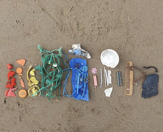 Plastic Free Penarth tweet media