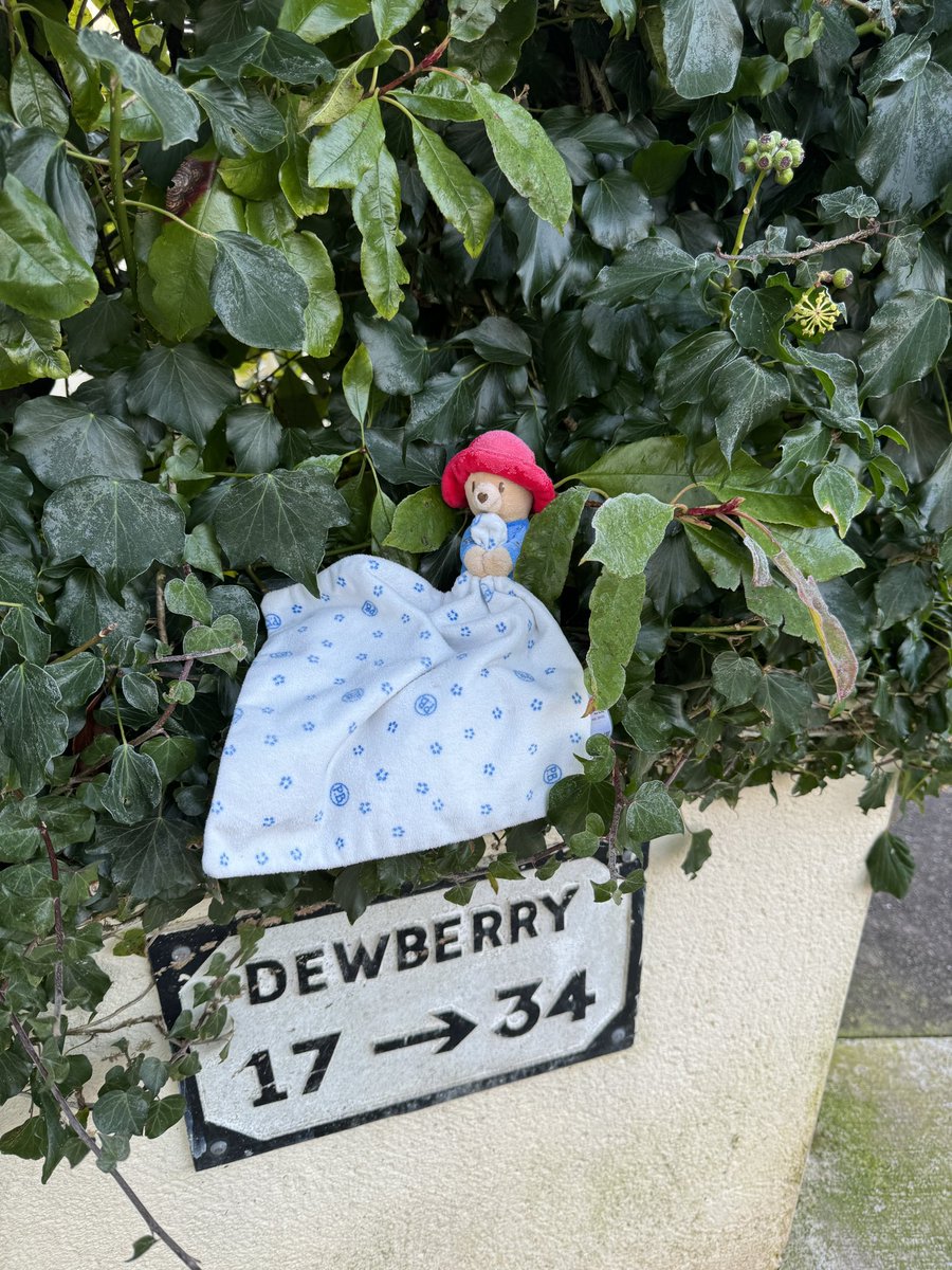 As lonely and forlorn as this guy looks in the early-morning frost, the little boy or girl who owns him is probably an awful lot more lonely. #Lost in Mount Oval, #Cork, can you help get #Paddington home?