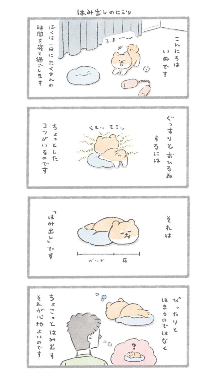 はみ出し寝おいぬ
#こんにちはいぬです 