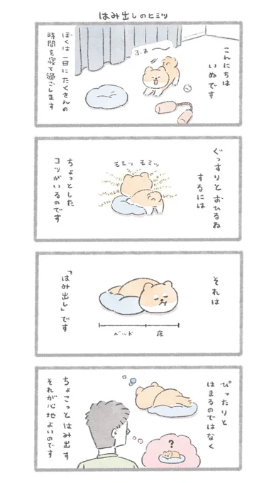 はみ出し寝おいぬ
#こんにちはいぬです 