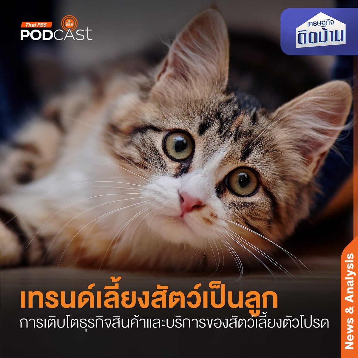 ThaiPBSPodcast's tweet photo. #PetHumanization หรือ #เทรนด์การเลี้ยงสัตว์เป็นลูก ปัจจุบันได้รับความนิยมมากขึ้น สังเกตได้จากการเติบโตของธุรกิจสินค้าและบริการเพื่อสัตว์เลี้ยง ที่มีความหลากหลากและครบวงจรมากขึ้น สามารถตอบสนองต่อผู้บริโภคและสัตว์เลี้ยงตัวโปรดของพวกเขาได้ สำหรับคนที่ทำธุรกิจนี้หากมองไปในอนาคตมีแนวโน้มเติบโตได้อีกหรือไม่ 

ดร.วิทย์ สิทธิเวคิน และ ดร.บุญยิ่ง คงอาชาภัทร หัวหน้าสาขาการตลาด วิทยาลัยการจัดการ มหาวิทยาลัยมหิดล เล่าให้ฟังในรายการ #เศรษฐกิจติดบ้าน ค่ะ

คลิกฟัง Podcast 📱💻
🎧 Website | https://t.co/JPRYlmUEii
🎧 Spotify | https://t.co/F7lJkdbNXG
🎧 SoundCloud | https://t.co/1syUswRpCG
🎧 Apple Podcast | https://t.co/piWPesUV9a
▶ YouTube | https://t.co/AUY1lUdESU
📱 Application | https://t.co/mCGOaLrCIW

#ThaiPBSPodcast
#ThaiPBS