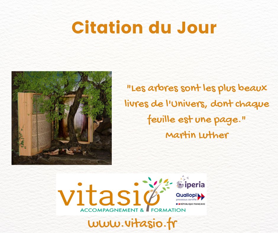 VitasioFormatio's tweet photo. [Citation du jour] "Les arbres sont les plus beaux livres de l'Univers, dont chaque feuille est une page."  Martin Luther 

Imaginons un instant que tout le savoir du monde est inscrit dans la Nature en abondance, quel prochain livre vous recommanderiez ?

#lire #arbre #vitasio https://t.co/9vxbAfvES2