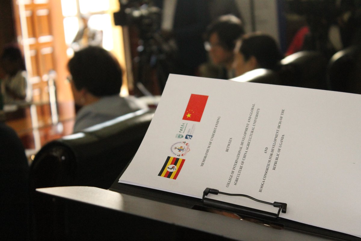 Join us in shaping a vibrant future for Busoga.  Our vision at the <a href="/BusogaConsorti1/">Busoga Consortium for Development Official</a>  is to empower the region socially and economically.  Let's unite for inclusive participation in the transformative journey towards a new, prosperous Busoga.