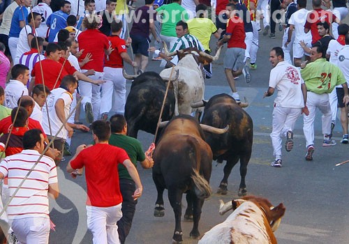 Primer escalón de 2024. ¡Ya falta menos!

📸 @toroalcarria

<a href="/aytobrihuega/">Ayuntamiento Brihuega</a> <a href="/ftg_guadalajara/">Federación Taurina de Guadalajara</a> #EncierroDeBrihuega #EncierroBrihuega #16DeAgosto #Encierro16DeAgosto #16A #YFM #Tradición #Único #EncierroÚnico #Brihuega #BrihuegaEnamora #Cultura #Promoción
