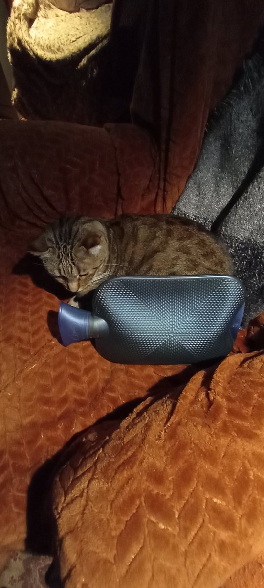 Helen Higson tweet media