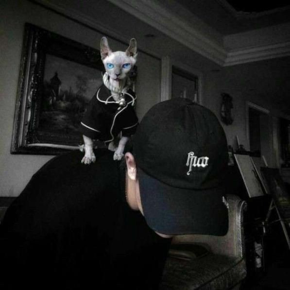 marvin (@pintarkak) on Twitter photo 