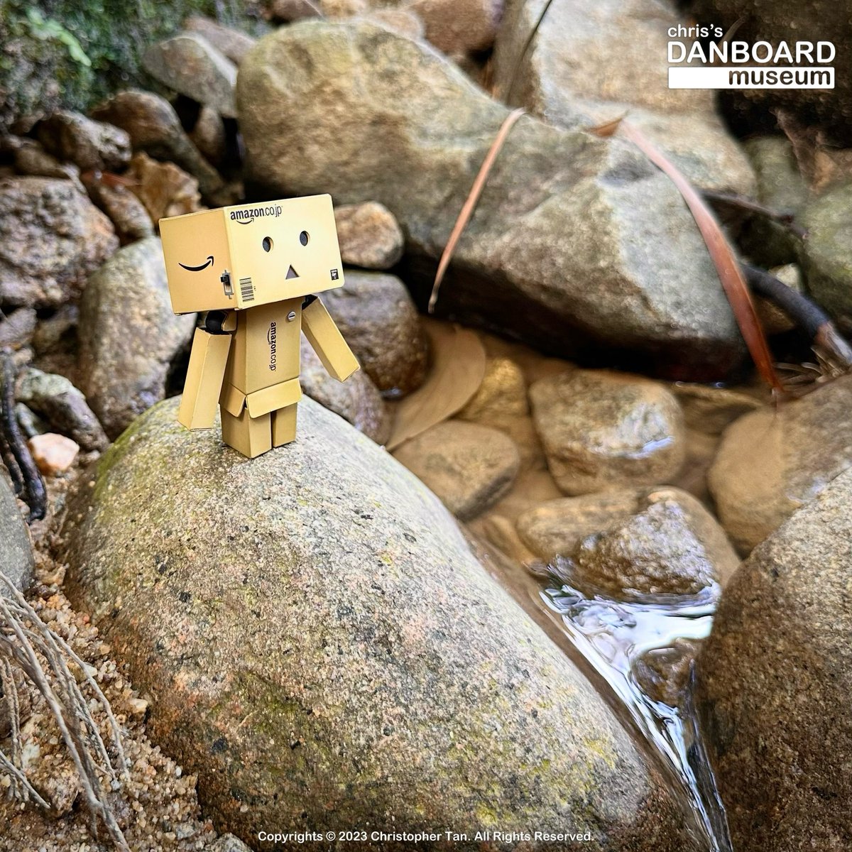 danboardmuseum's tweet photo. Danbo enjoying nature 😁 … https://t.co/Z7LVWQaBFl 🌟 … #danbo #danboard #ダンボー #よつばと #danboardmuseum #danboardphotography #danbophotography #danbolove #danbogram #yotsubato #toyphotography #toycollector #toyart #cute https://t.co/4VqtK0RWzJ