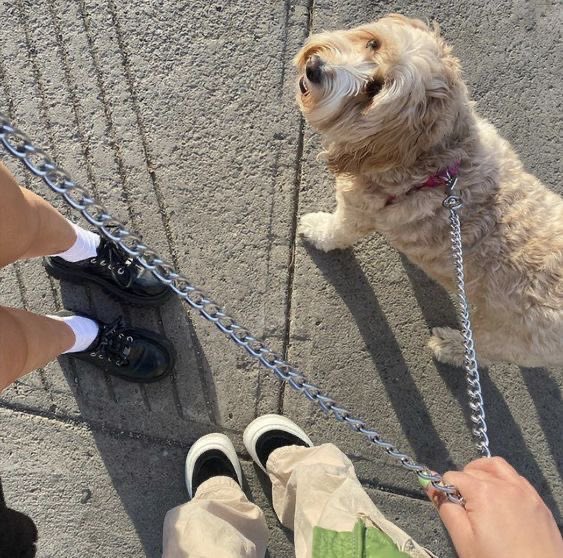 A walk with our child, her name is Caramel