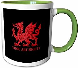 #BeerMugs #Steins Thou Art Mighty Red Dragon Welsh Rugby #taiche #3drose #welshrugby #rugby #rugbyunion #wales #walesrugby #rugbylife #wru #rugbyworldcup #welshrugbyunion #rugbyplayer #worldrugby amazon.com/3dRose-Mighty-…