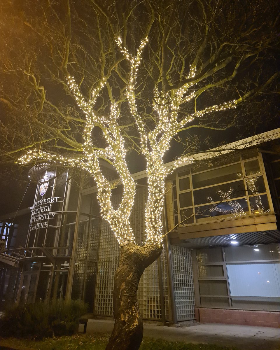 We provide lighting for a wide variety of buildings, including offices, schools, colleges, garden centres, and many more besides. IllumiDex will work with clients to bring the colour and sparkle to your workplace. 

𝗖𝗼𝗻𝘁𝗮𝗰𝘁 𝘂𝘀 𝘁𝗼𝗱𝗮𝘆 - bit.ly/3Bvmos4