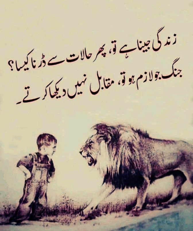 Khan ka Khilariᵀᶠᴸᵂ tweet media