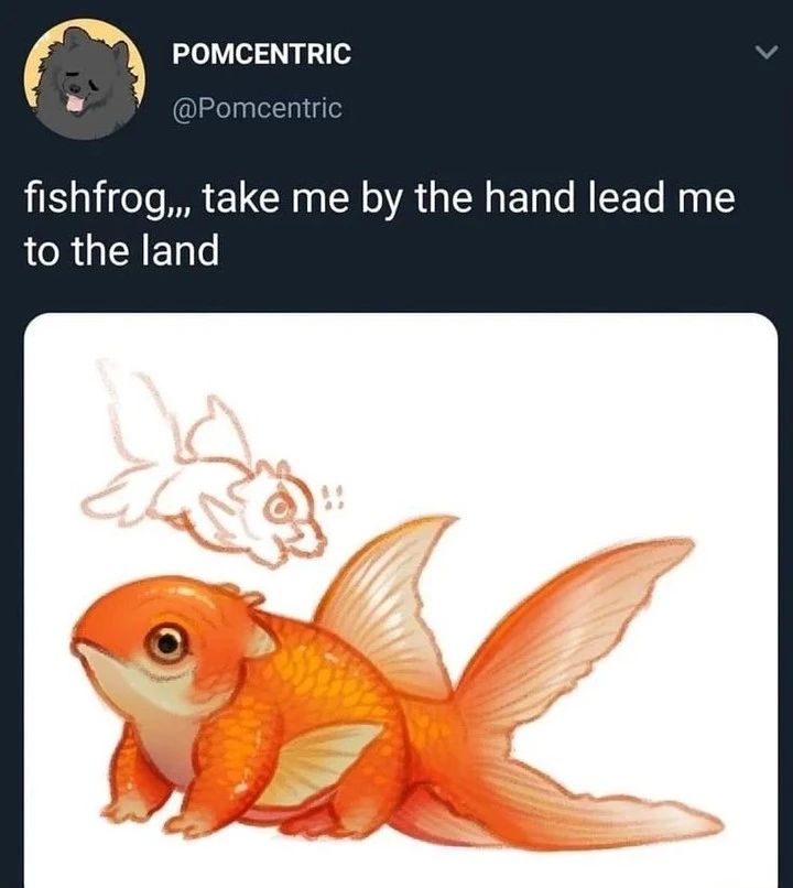 froglover2020's tweet photo. frog https://t.co/sB0GQKY5Gu