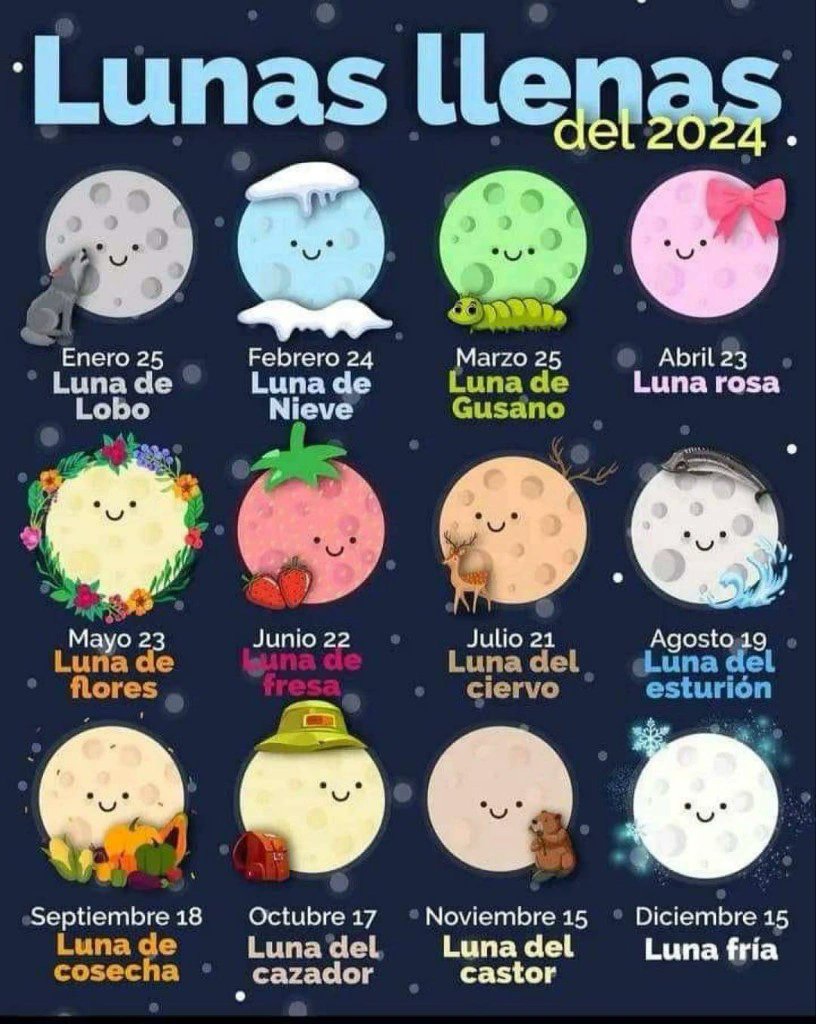 Las lunas llenas de 2024 ...

vía: Isabel de las Heras

#luna #lunallena #moon #fullmoon #2024