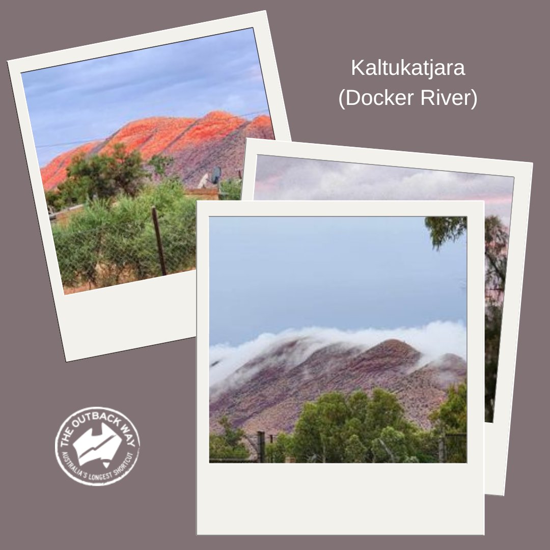 OutbackWay1's tweet photo. Have you travelled #outbackway ?
Are you planning to experience Australia's Longest Shortcut in 2024 ?
Thanks to Helen for sending in these great images she captured.
Kaltukatjara, also known as Docker River, is near the WA and NT border.

📷 Helen Denison https://t.co/TSWsOE9qyr