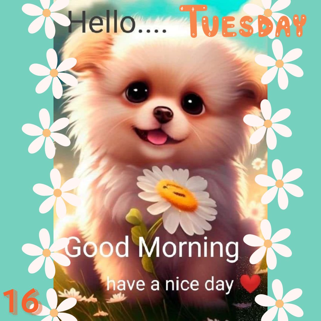 Cupc4ke88's tweet photo. Hello Tuesday!
@canva @instagram @twitter @facebook @dan1elle6 #canva #instagram #twitter #facebook #dan1elle6 #january #tuesday #beginningoftheweek #brrrcoldoutside #goodmorning #earlymorning #greatday #happiness https://t.co/gwvQuX0VHw