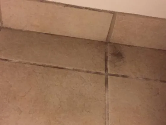TexasTylerJones's tweet photo. Oh no guys, my wife is losing her hair! What should she do? What can I do to help her? 
(You can see that there is a lot of hair on the floor)
#Help #Hairloss #Bald #Support #NftGiveaways https://t.co/sowvJP2rPV