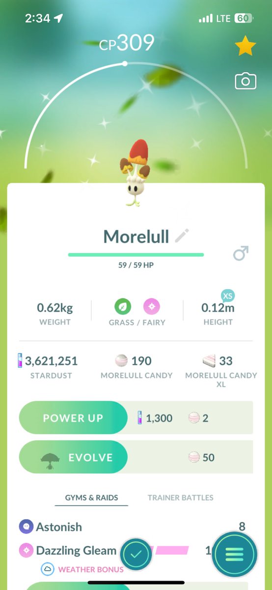 dead_sunflowers's tweet photo. another one 😍 #ShinyMorelull 🤎 #ShinyPokemon #shinyhunting #PokemonGO https://t.co/rsZVlRfwvx